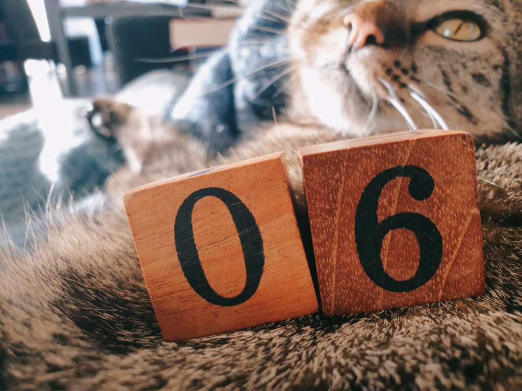 Tag 6 – Berlin Berlin